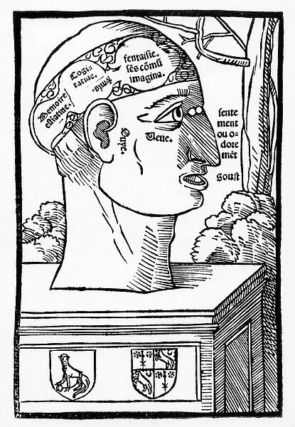 The Brain and Human Faculties, from Anatomia Mundini, French edition