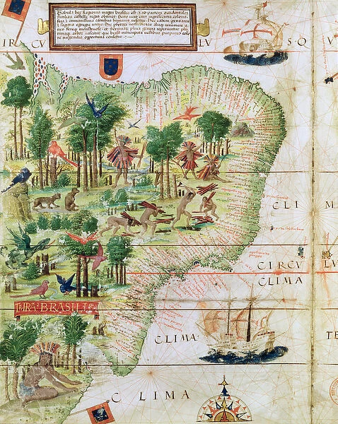 Brazil from the Miller Atlas by Pedro Reinel, c. 1519 (detail of 75615)