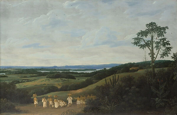 A Brazilian Landscape, 1650 (oil on wood)