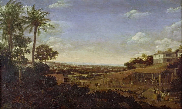 Brazilian landscape with sugar mill, armadillo and snake, River Varzea