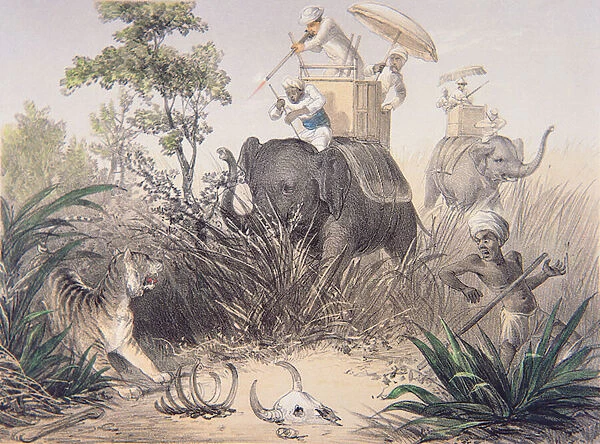 British Officers tiger shooting in India, 1860s (colour litho)