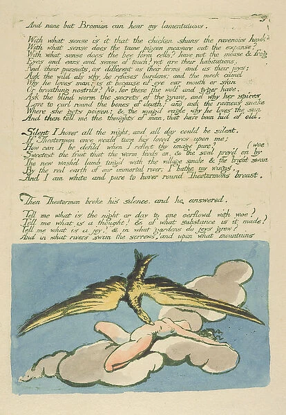 And none but Bromian can hear... plate 6 from Visions of the Daughters