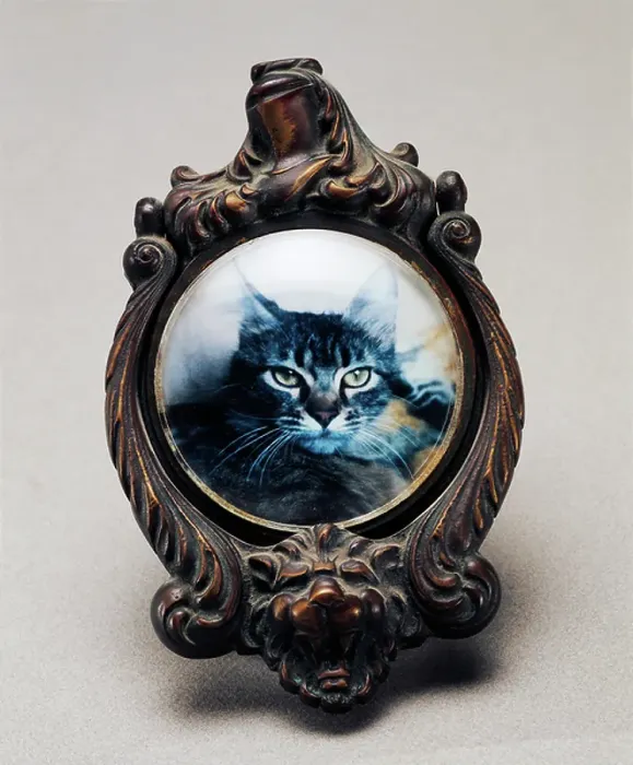 Framed Print : Bronze door knocker with cat (Image in centre part is replaceable), Italy, 20th century
