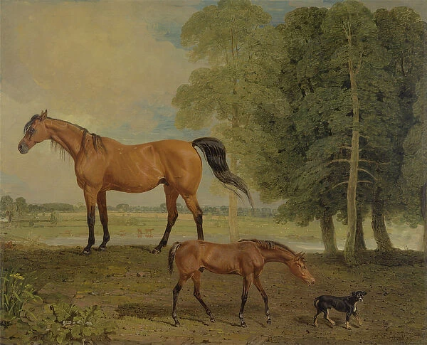 Broodmare with Foal and Terrier (oil on canvas)