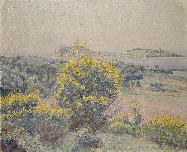 Broom, Le Brusq, 1925 (oil on canvas)