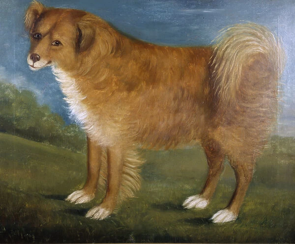 Brown Dog in a Landscape, c. 1850 (oil on canvas)