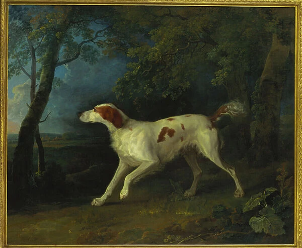 A brown and white setter in a wooded landscape, 1773 (oil on canvas)