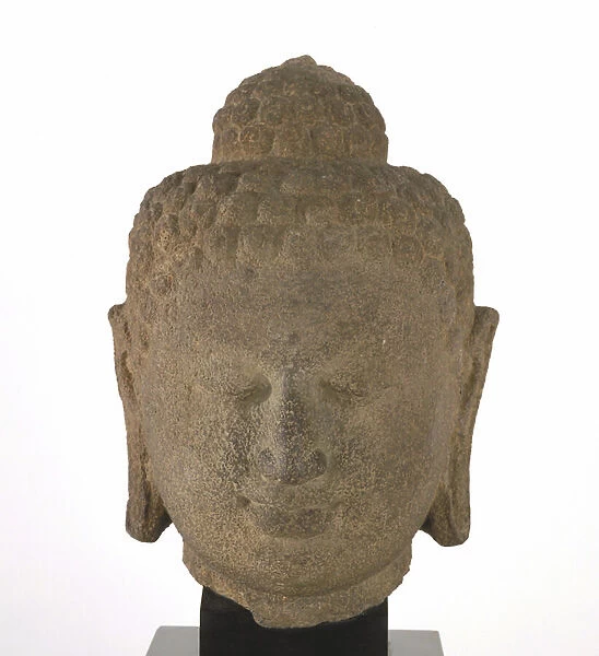 Buddha head, Java, Shailendra dynasty, late 8th-early 9th century (volcanic stone)