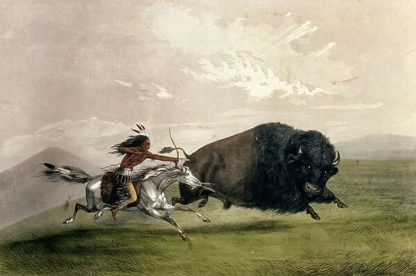 The Buffalo Chase Singling Out, pub. by Currier and Ives (colour litho)