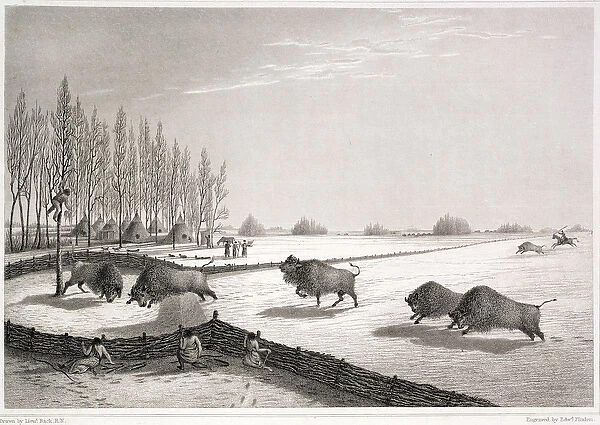 A Buffalo Pound, from Narrative of a Journey to the Shores of the Polar Sea in