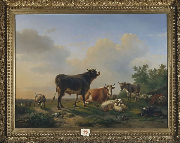 A bull, a cow, a donkey, a goat, sheep and poultry in an extensive landscape
