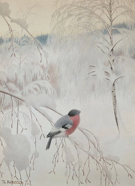 Bullfinch, 1906