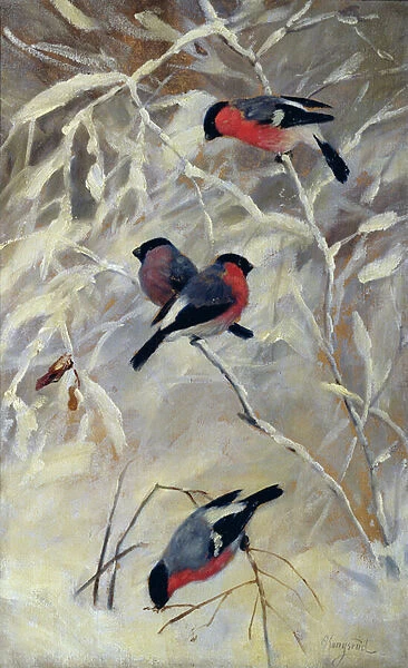 Bullfinches (oil on canvas)