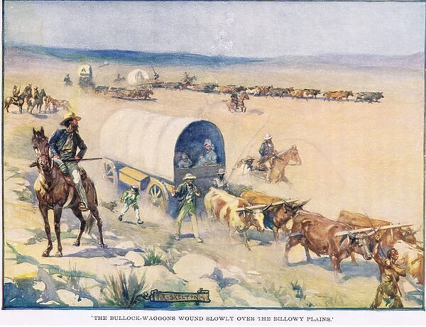 The bullock waggons wound slowly over the billowy plains (colour litho)