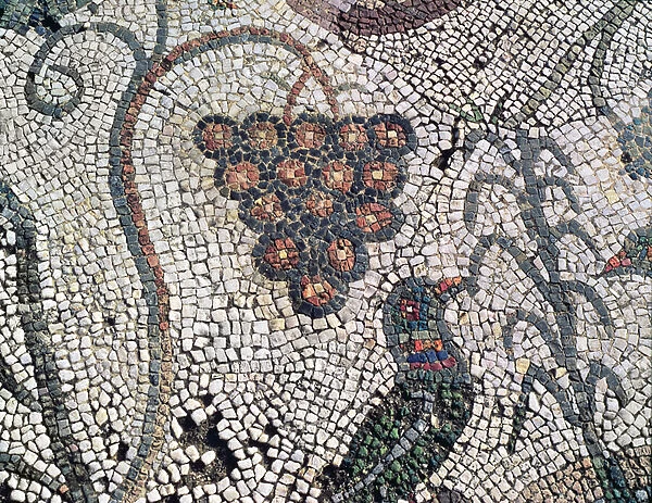 A Bunch of Grapes and a Bird: Roman Mosaic from a Room in the Amphitheatre, 8 BC (mosaic)