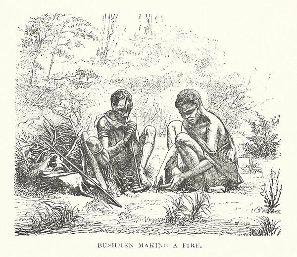 Bushmen making a fire (engraving)