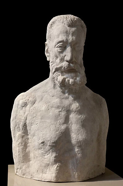 bust of Anatole France (1844-1924), French writer, Nobel Prize in Literature in 1921, Plaster sculpture by Antoine Bourdelle (1861-1929). Photography, KIM Youngtae, Lyon, Musee des beaux arts de Lyon