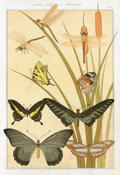 Butterflies, from L Animal dans la Decoration by Maurice Pillard Verneuil, pub. 1897 (colour lithograph)
