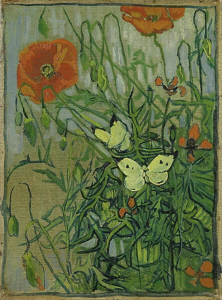 Butterflies and poppies, 1889 (oil on canvas)