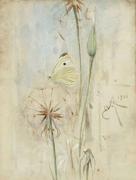 Butterfly and Thistledown (watercolour)