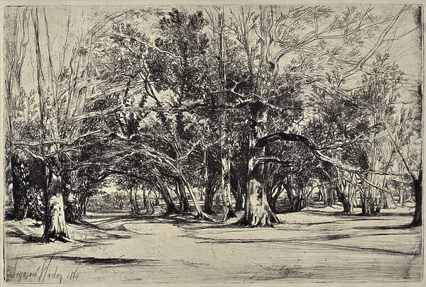 A By-road in Tipperary, 1860 (drypoint)
