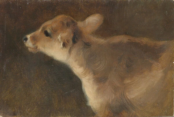 A Calf, 1879 (oil on canvas laid on board)