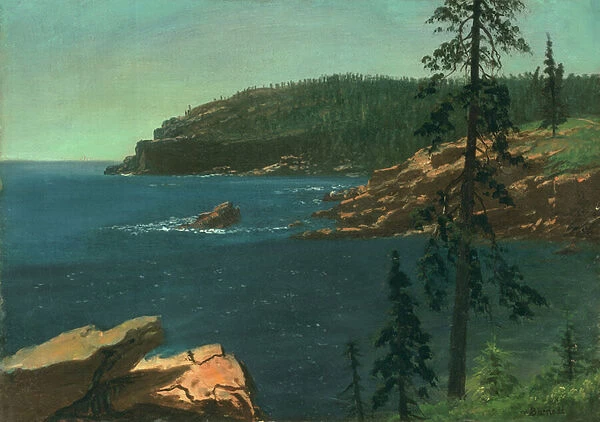California Coast (oil on canvas)