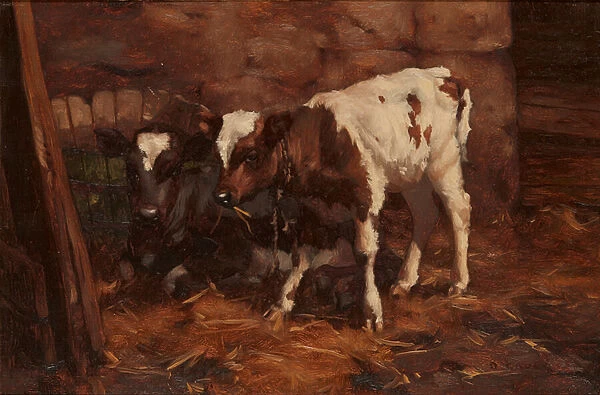 Two Calves By a Water Butt (oil on canvas)