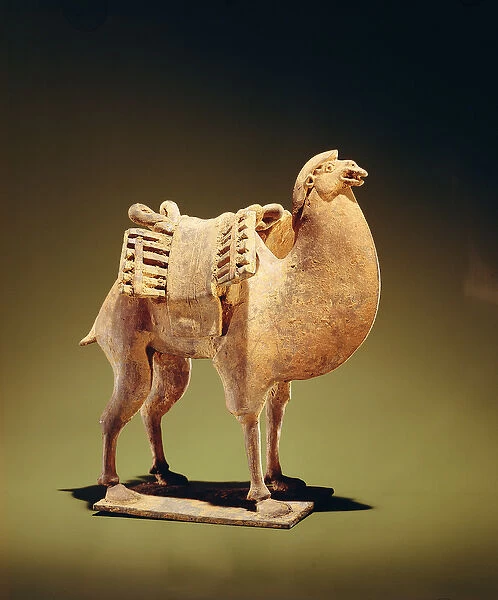 Camel, mid to late 6th century, Northern Wei (386-534)-Northern Qi (550-77) dynasty