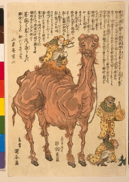 A Camel, pub. 1824 (hand coloured woodcut)