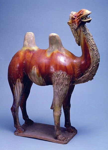 Camel, Tang Dynasty (polychrome glazed pottery)