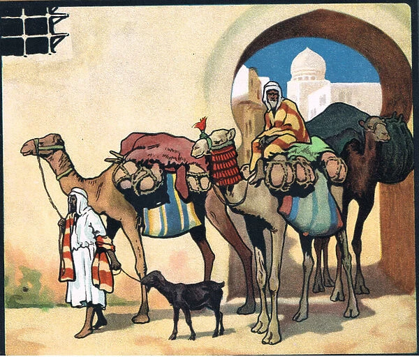 Camel Train, illustration from 'Pads, Paws and Claws', 1924 (colour litho)