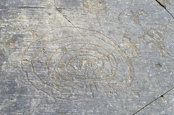 CAMUNI Depiction of maze, waterbird and dueling on the Great Rock of Naquane, petroglyphs on Permian sandstone