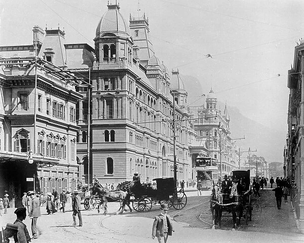 Cape Town: New Adderley Street, c. 1914 ( b  /  w photo)