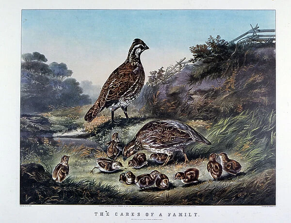 The Cares of a Family, 1855 (lithograph)
