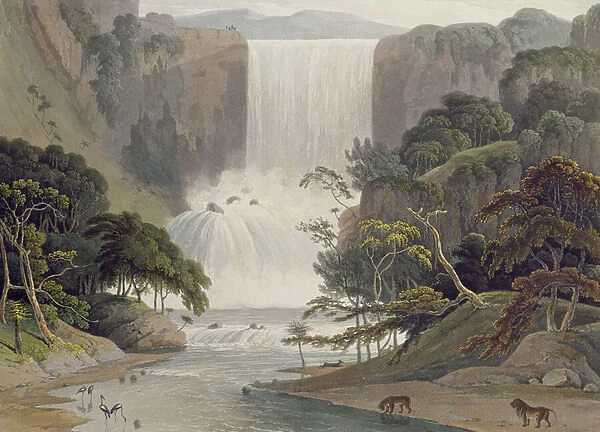 Cascade on Sneuwberg, plate 25 from African Scenery and Animals