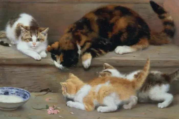 Framed Print : Cat and kittens chasing a mouse