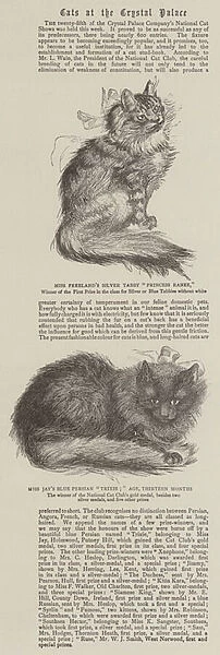 Cats at the Crystal Palace (engraving)