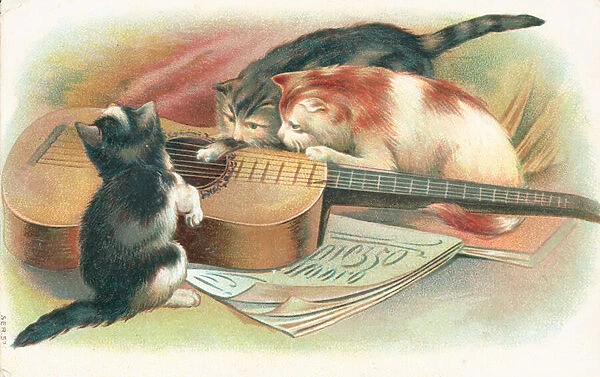 Three cats playing with an acoustic guitar (colour litho)