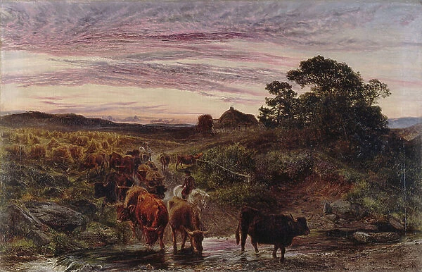 Cattle Fording a Stream, 1862 (oil on canvas)