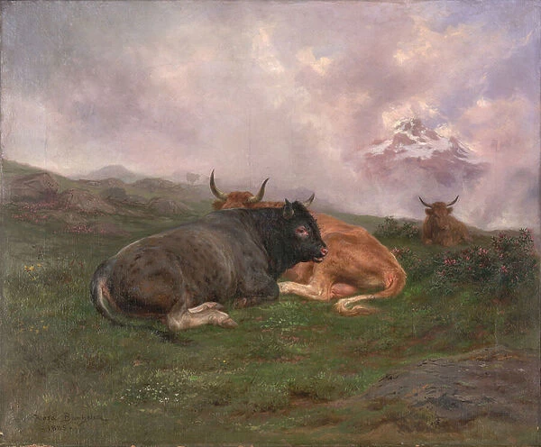 Cattle at Rest on a Hillside in the Alps, 1885 (oil on canvas)