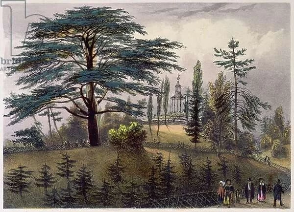 The Cedar of Lebanon and the Labyrinth at the Jardin des Plantes, Paris (colour litho)