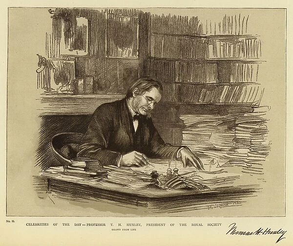 Celebrities of the Day, Professor T H Huxley, President of the Royal Society (litho)