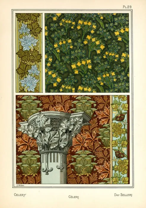 Framed Print : The Celery (colour litho)
