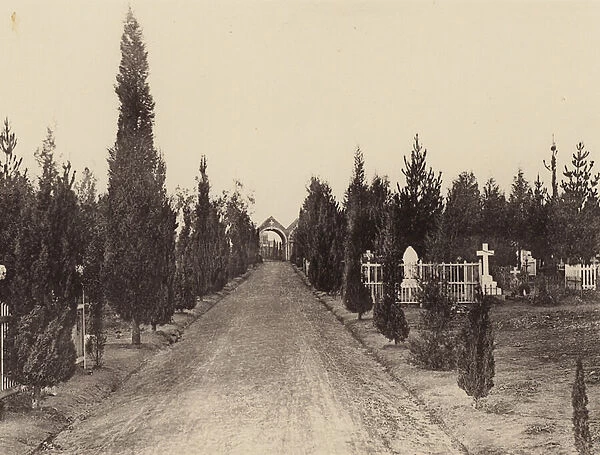 The Cemetery (b  /  w photo)