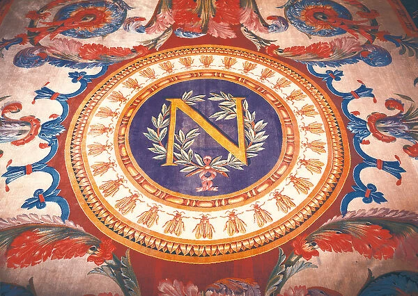 Central detail of a rug with the N of Napoleon I (1769-1821)