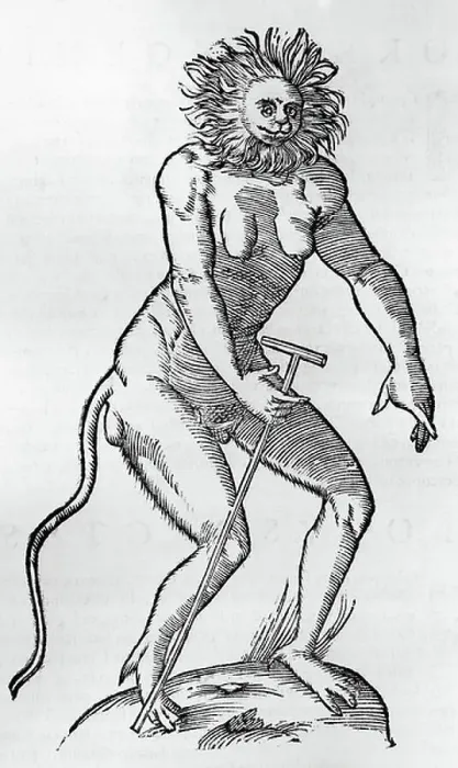 Framed Print : Cercopithecus of human size and shape (Cercopithecus formae rarae), engraving from De quadrupedibus digitatis viviparis libri tres, by Ulisse Aldrovandi (1522-1605), Nicholas Tebaldini edition, Bologna, 1637 Framed Print : Cercopithecus of human size and shape (Cercopithecus formae rarae), engraving from De quadrupedibus digitatis viviparis libri tres, by Ulisse Aldrovandi (1522-1605), Nicholas Tebaldini edition, Bologna, 1637
