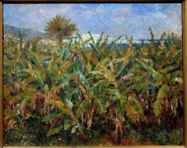 Un champ de bananas Painting by Pierre Auguste Renoir (1841-1919) 1881 Sun