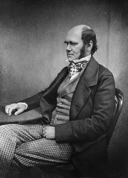 Charles Darwin (engraving)
