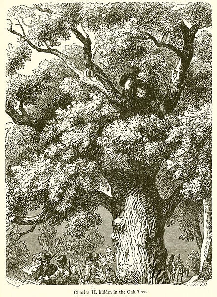 Charles II. hidden in the Oak Tree (engraving)
